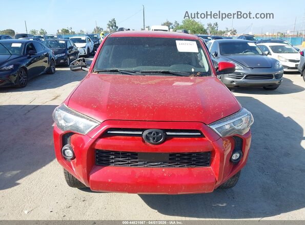 JTEMU5JRXM5935482 2021 TOYOTA 4RUNNER Red Widok z przodu