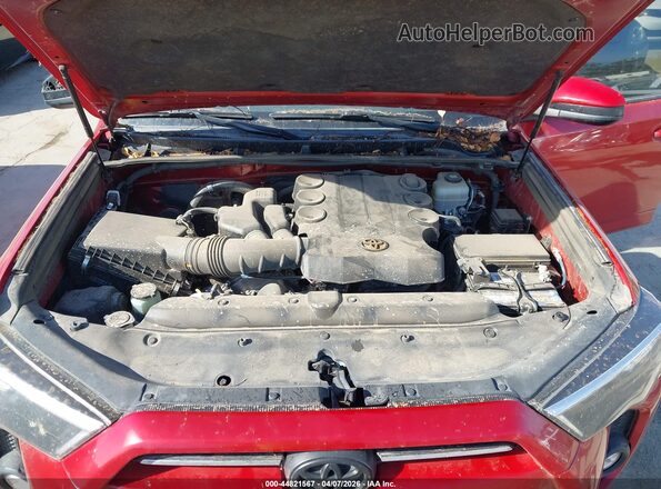 JTEMU5JRXM5935482 2021 TOYOTA 4RUNNER Red Widok z tyłu