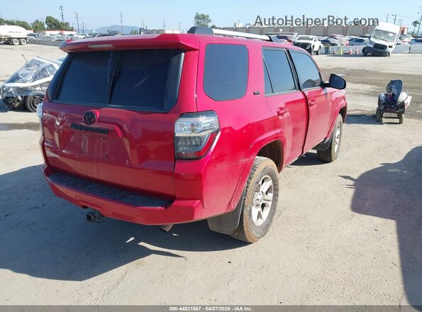 JTEMU5JRXM5935482 2021 TOYOTA 4RUNNER Red Tył prawy