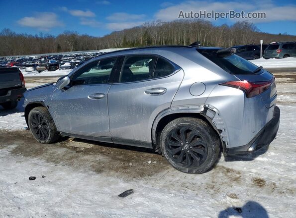JTHB9JBH8P2064985 2023 LEXUS UX Silver Задня ліва чверть