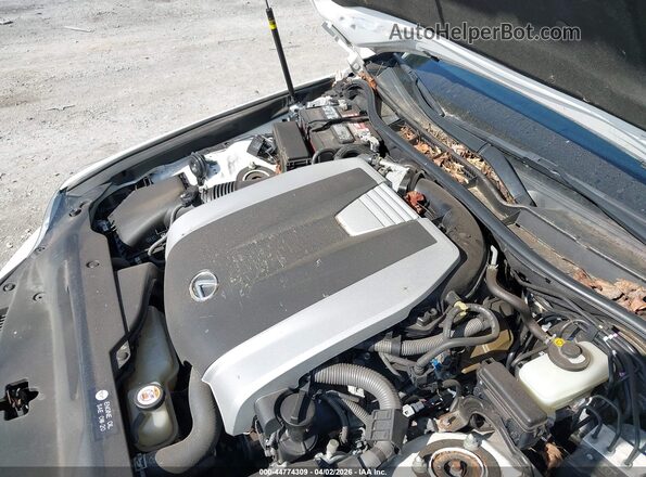 JTHC81D23K5039225 2019 LEXUS IS 300 White Widok z tyłu