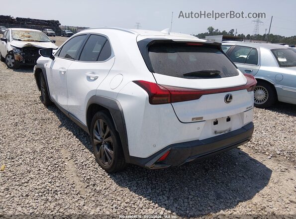 JTHE3JBH3M2032889 2021 LEXUS UX 200 White 