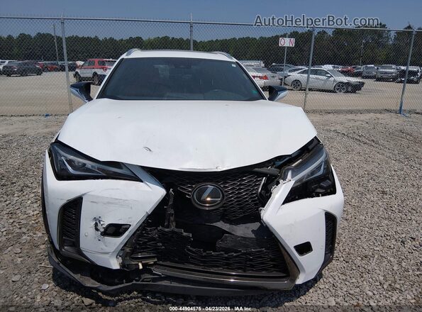 JTHE3JBH3M2032889 2021 LEXUS UX 200 White 