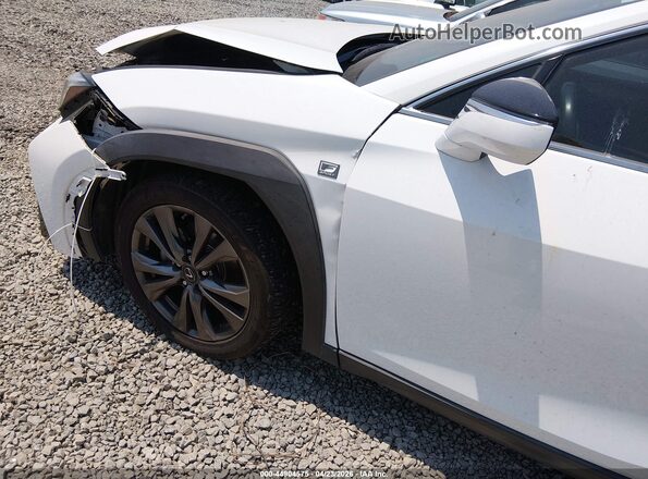 JTHE3JBH3M2032889 2021 LEXUS UX 200 White 