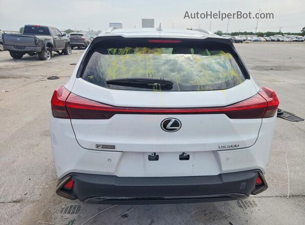 JTHE3JBH6M2037245 2021 LEXUS UX White Вид ззаду