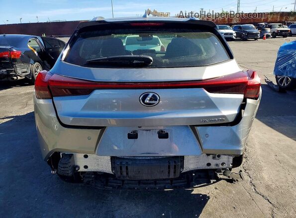 JTHP9JBH2L2031156 2020 LEXUS UX Gray უკანა ხედი