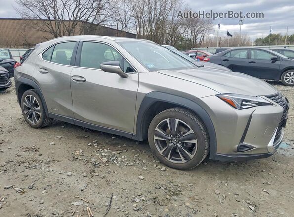 JTHP9JBH4L2024449 2020 LEXUS UX Gray 