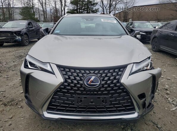 JTHP9JBH4L2024449 2020 LEXUS UX Gray 