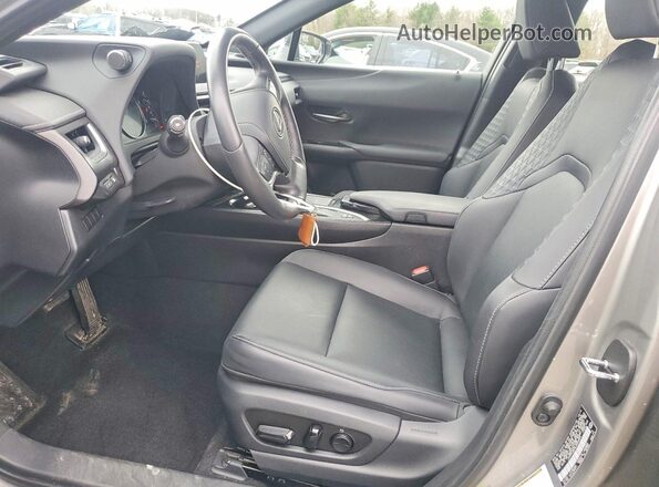 JTHP9JBH4L2024449 2020 LEXUS UX Gray 