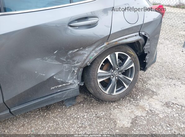 JTHP9JBH4M2045562 2021 LEXUS UX 250H Gray Vista frontal