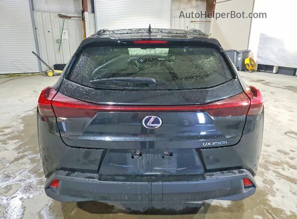 JTHP9JBH6M2045479 2021 LEXUS UX Black Вид ззаду