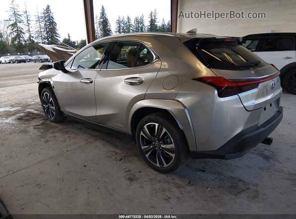 JTHP9JBH6N2060369 2022 LEXUS UX 250H Gray Задня ліва чверть