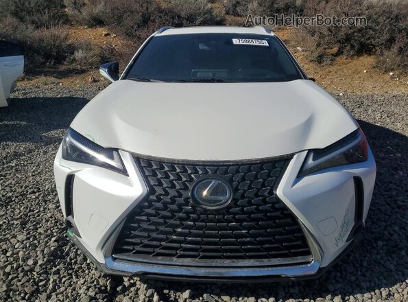 JTHP9JBH7P2066636 2023 LEXUS UX White წინა ხედი