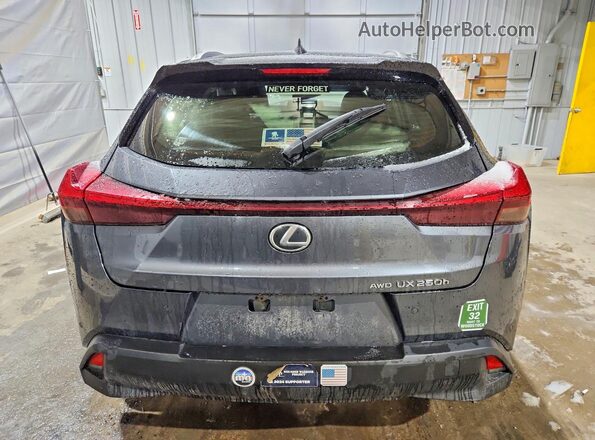 JTHP9JBH7P2067785 2023 LEXUS UX Gray Вид ззаду