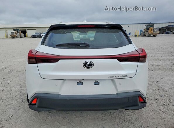 JTHP9JBH7R2076988 2024 LEXUS UX Белый Вид сзади