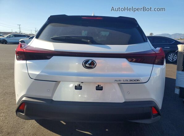 JTHUCJDH5S2012312 2025 LEXUS UX Белый Вид сзади