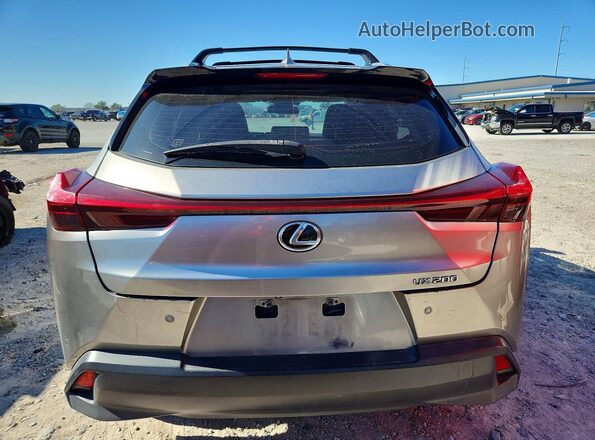 JTHX3JBH3M2037065 2021 LEXUS UX Gray Widok z tyłu