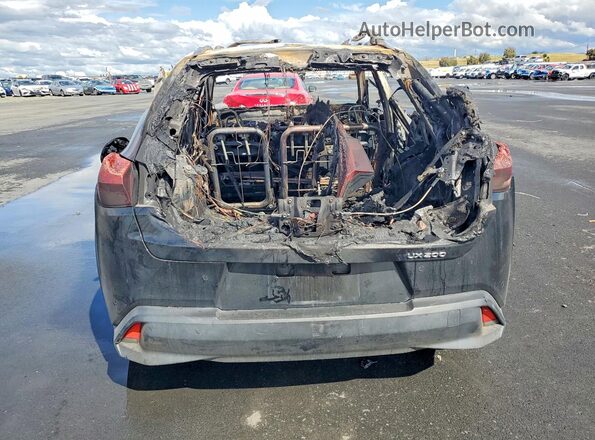 JTHX3JBH4M2037026 2021 LEXUS UX Black Rear view