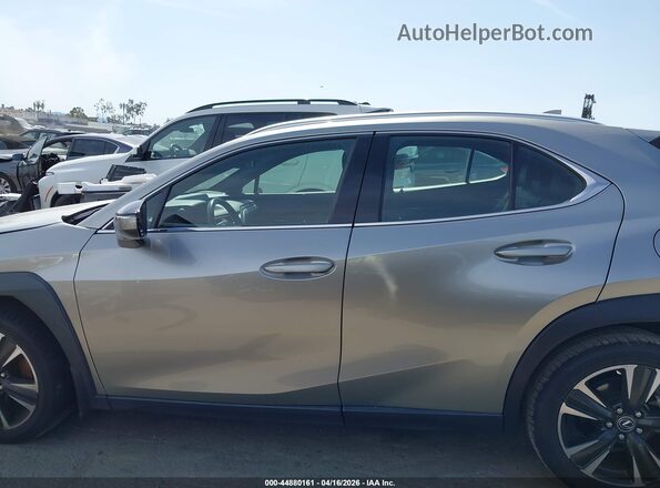 JTHX3JBH7L2030120 2020 LEXUS UX 200 Silver Панорамний вид салону 360°