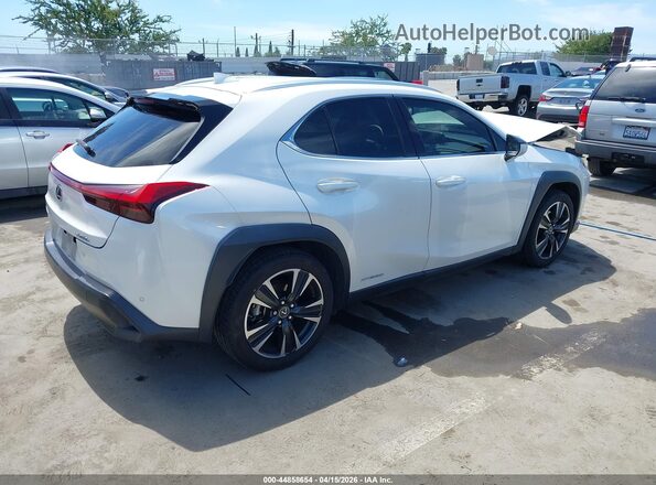 JTHX9JBH1M2038102 2021 LEXUS UX 250H White Հետևի աջ