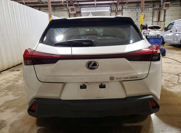 JTHX9JBH4P2065170 2023 LEXUS UX Белый Вид сзади