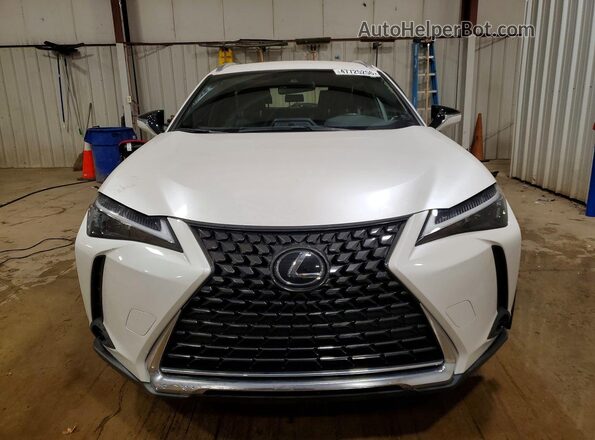 JTHX9JBH4P2065170 2023 LEXUS UX Белый Вид спереди