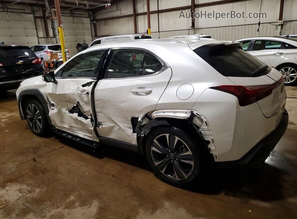 JTHX9JBH4P2065170 2023 LEXUS UX Белый Задняя левая четверть