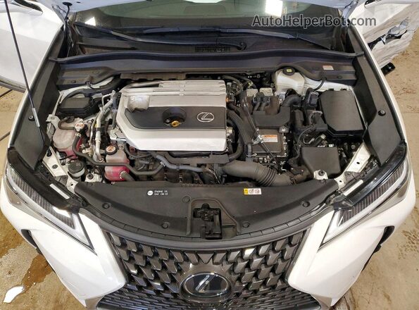 JTHX9JBH4P2065170 2023 LEXUS UX Белый Вид подкапотного пространства