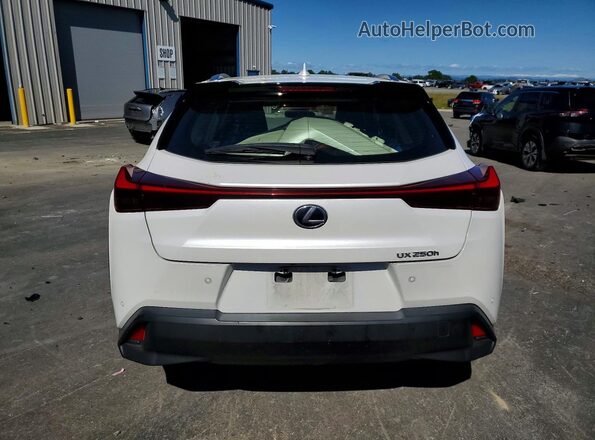 JTHX9JBHXM2040771 2021 LEXUS UX Белый 