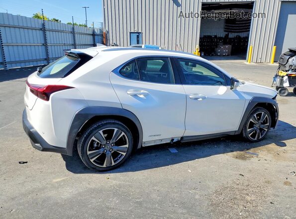JTHX9JBHXM2040771 2021 LEXUS UX Белый 