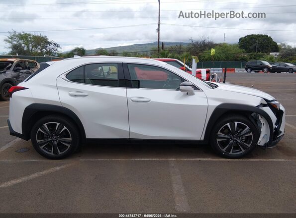 JTHY3JBH0K2019236 2019 LEXUS UX 200 White Widok wnętrza 360 stopni