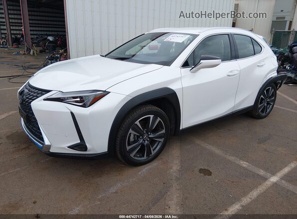 JTHY3JBH0K2019236 2019 LEXUS UX 200 White Przód lewy