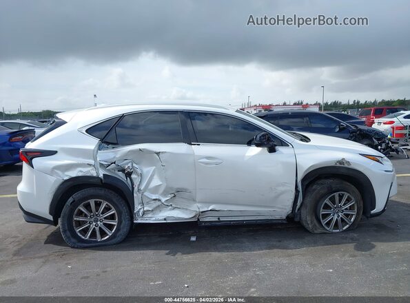 JTJAARBZ2L5007070 2020 LEXUS NX 300 White Սալոնի հետևի տեսք
