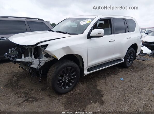 JTJAM7BX4P5370423 2023 LEXUS GX 460 White Передня ліва чверть
