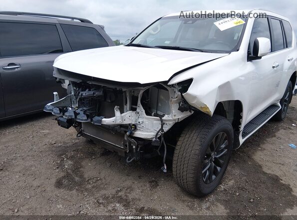 JTJAM7BX4P5370423 2023 LEXUS GX 460 White Вид спереду
