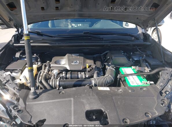 JTJBARBZ0K2187265 2019 LEXUS NX 300 Серый Вид сзади