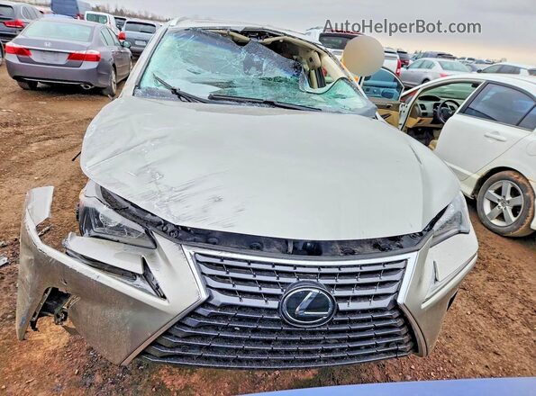 JTJBARBZ1J2163345 2018 LEXUS NX Silver Widok z przodu