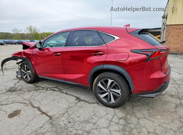 JTJBARBZ5K2189299 2019 LEXUS NX Красный 
