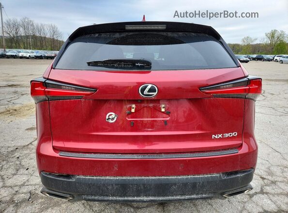 JTJBARBZ5K2189299 2019 LEXUS NX Красный 