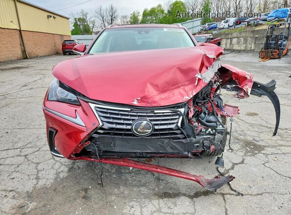 JTJBARBZ5K2189299 2019 LEXUS NX Красный 