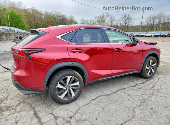 JTJBARBZ5K2189299 2019 LEXUS NX Красный 