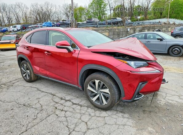 JTJBARBZ5K2189299 2019 LEXUS NX Красный 