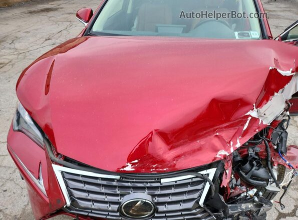JTJBARBZ5K2189299 2019 LEXUS NX Красный 