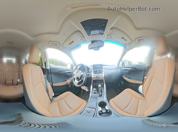 JTJBARBZ5K2189299 2019 LEXUS NX Красный 