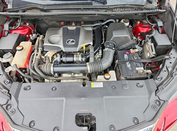JTJBARBZXG2061745 2016 LEXUS NX Burgundy VIN կոդի պիտակի տեսք