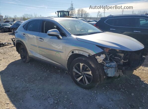 JTJBARBZXK2216299 2019 LEXUS NX Silver 