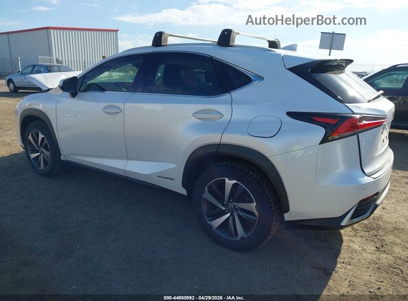 JTJBJRBZXK2104862 2019 LEXUS NX 300H Белый Задняя левая четверть
