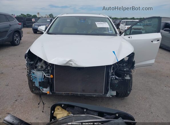 JTJDARBZ0L2177619 2020 LEXUS NX 300 White 