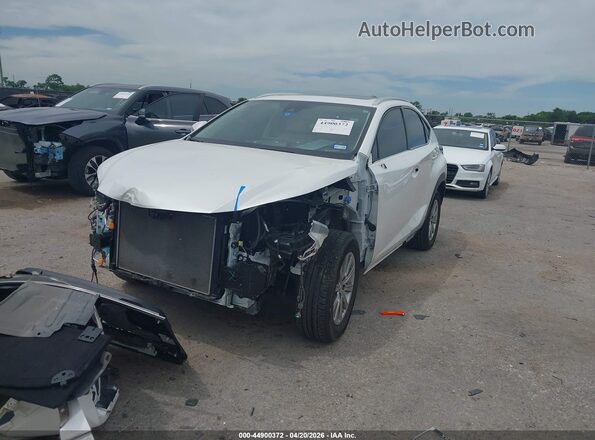 JTJDARBZ0L2177619 2020 LEXUS NX 300 White 