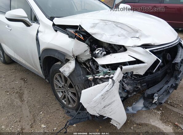JTJDARDZ1M5025152 2021 LEXUS NX 300 White 